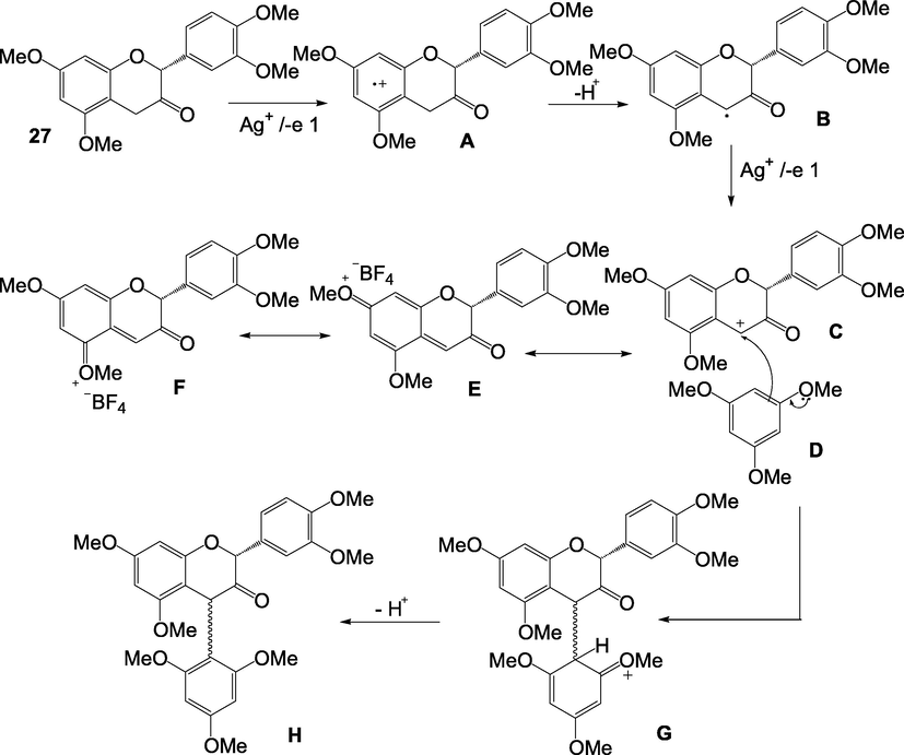 Proposed mechanism for oxidative synthesis of 29 and 30 based on the model reaction.