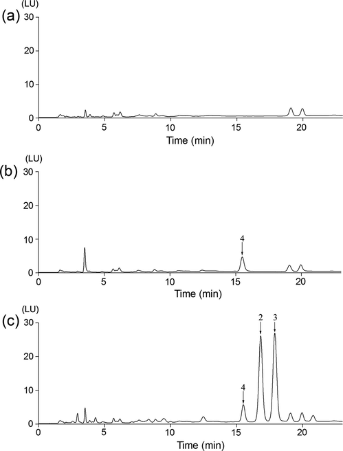 HPLC–FL chromatograms of samples prepared from blank serum (a), serum spiked with IS (b), and serum spiked with (±)-ETO and IS (c). The spiked concentrations for (±)-ETO and IS were 50.0 and 1.0 μg mL−1, respectively. Peak identification: peaks 2, 3, and 4 correspond to compound 2 (ester derivative of R-ETO), 3 (ester derivative of S-ETO), and 4 (ester derivative of IS) in Fig. 1.