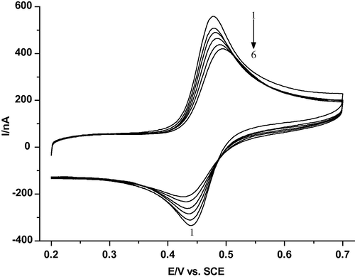 Cyclic voltammograms of 20.1 μM CAF at MWCNTs/GCE in the absence and presence of DNA: (1) 0; (2) 0.0661; (3) 0.0982; (4) 0.128; (5) 0.155 and (6) 0.2 (mg ml−1) in 0.2 M phosphate buffer solution (pH 2.21) at a scan rate of 20 mV s−1.