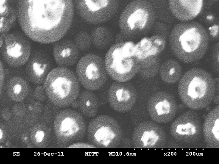 SEM image of blank microcapsules.