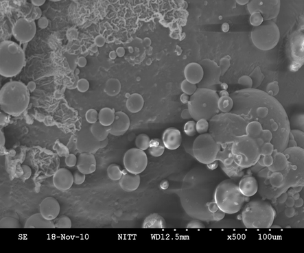 SEM image of microcapsules for 2 h of reaction.