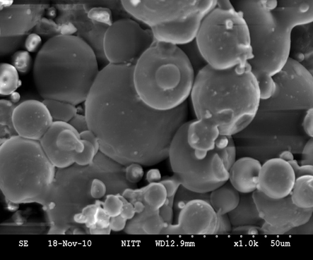 SEM image of microcapsules for 3 h of reaction.