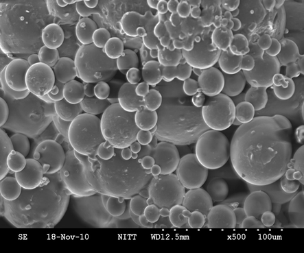SEM image of microcapsules for 4 h of reaction.