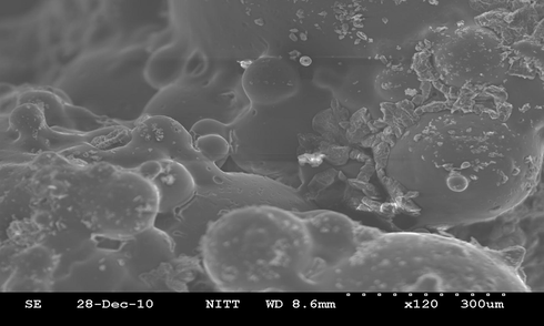 SEM image of RTIL encapsulated St-EGDMA MCs.