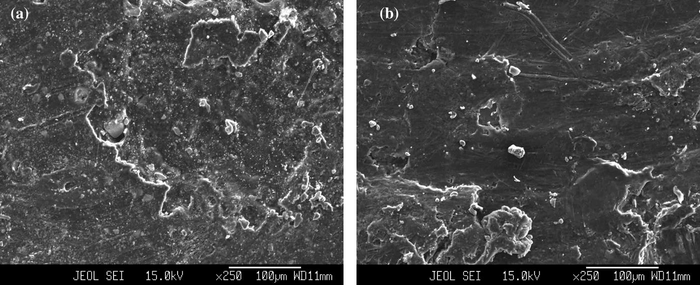 SEM images: (a) SPE host: (70PEO:30NaHCO3) and (b) NCPE OCC: [95 (70PEO:30NaHCO3) + 5SiO2].