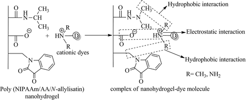 Possible complexation process between nanohydrogel and dye molecule.