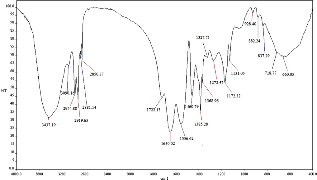 FT-IR spectrum of VNH 06 nanohydrogel.