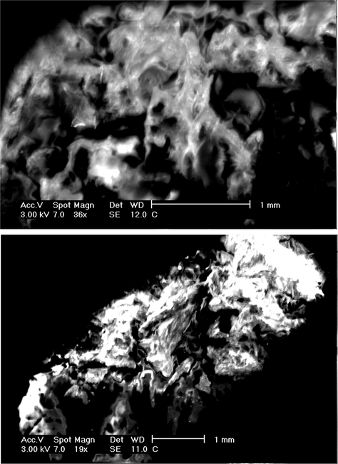 SEM photographs of VNH 06 and MB adsorbed onto VNH 06 nanohydrogel.
