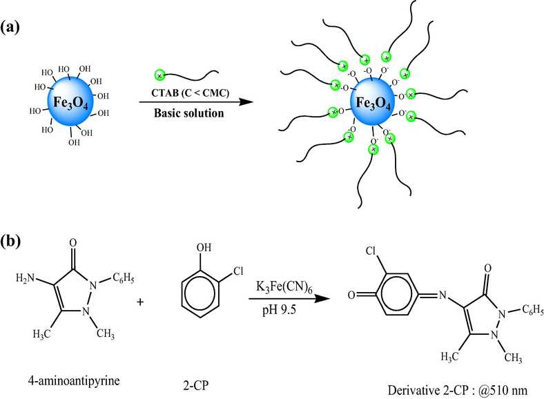 Schematic diagram of (a) the preparation of the cetyltrimethylammonium bromide coated magnetic nanoparticles (CTAB coated Fe3O4 NPs) as the adsorbent and (b) the chemical reaction for 2-CP derivative.
