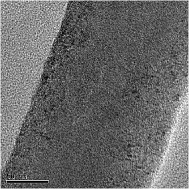 Transmission Electron Microscopy (TEM) Image.