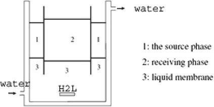 Liquid membrane cell.