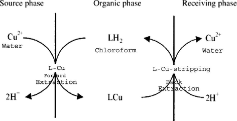 Liquid membrane system for transport of Cu (II) ions.