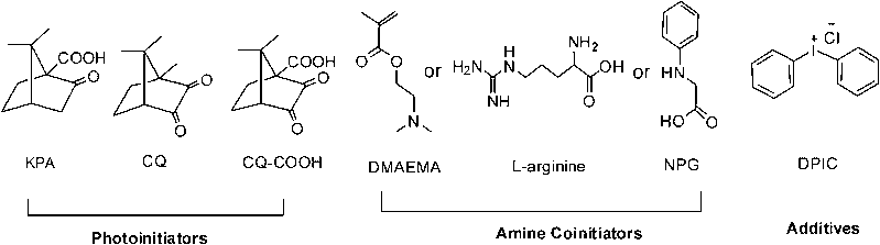 Chemical structures of the three-component radical photoinitiator system, photoinitiators, amine coinitiators, and iodonium salt accelerator, respectively.