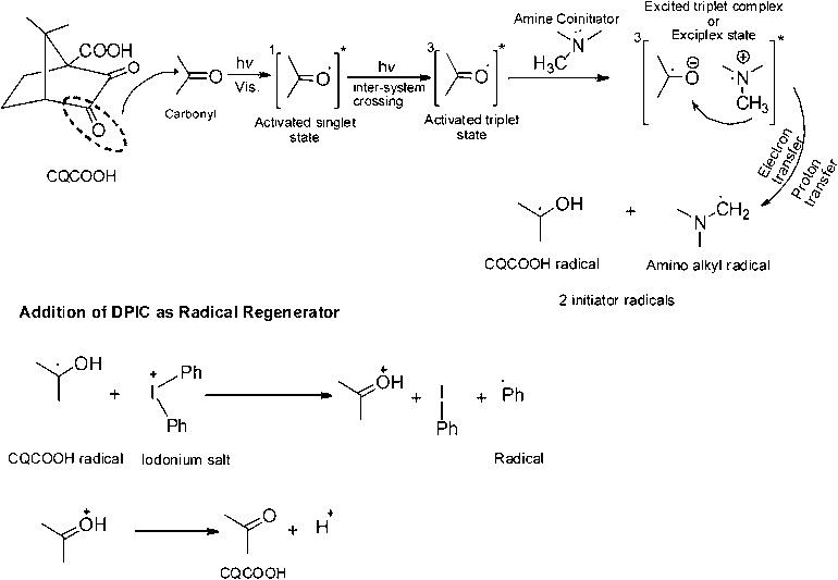 Reaction mechanism of three-component photoinitiator system containing photoinitiator (CQCOOH), an electron donor (amine coinitiator), and an electron acceptor or accelerator (iodonium salt).