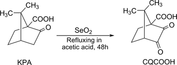 Synthesis scheme of carboxylated camphorquinone (CQCOOH) from ketopenic acid (KPA).