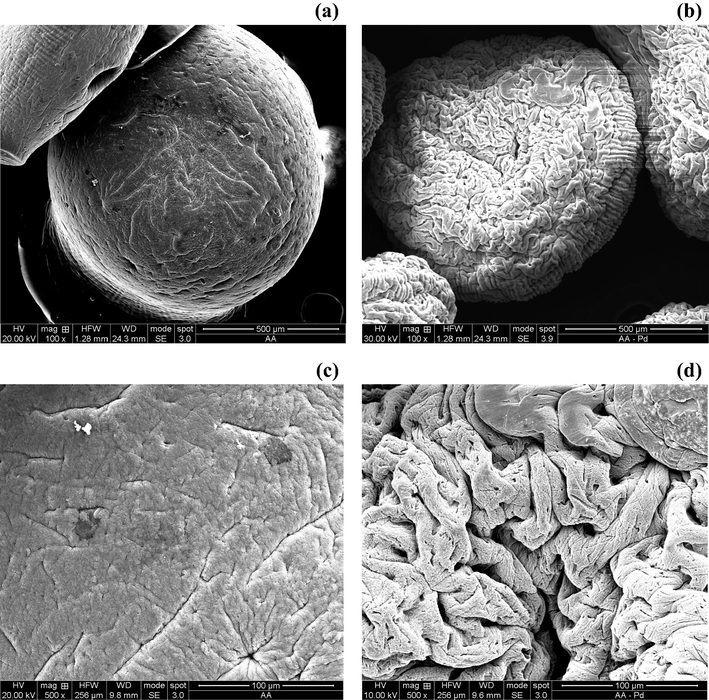 SEM micrographs obtained at 100 and 500 magnifications of (a, c) Ca-AA after contact with a solution at pH = 2, in NaNO3 medium at I = 0.010 mol L−1 and (b, d) Ca-AA after contact with a solution containing CPd2+ = 30 mg L−1 at pH = 2, in NaNO3 medium at I = 0.010 mol L−1.