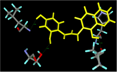 Compound 12 docking with 1CX 2 protein.