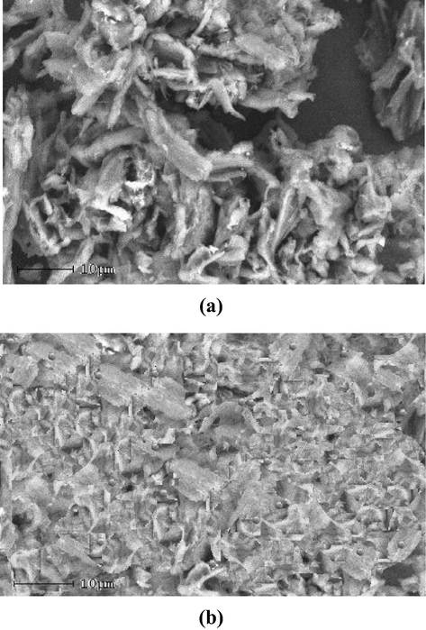 Scanning electron micrographs of Cell-N-Cu before (a) and after (b) loading with As(V).