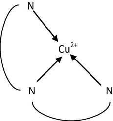 The coordination mode of Cu(II) moieties with amino groups in Cell-N-Cu adsorbent.