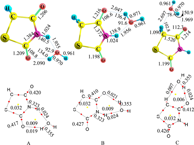 Upper: Optimized structures of the complexes A, B and C between uracil and water from B3LYP/6–311 + G(d,p) calculations (distances (Å), angles (degree)). Lower: Molecular graphs of Thiazolidine-2,4-diones-water complexes. The charge densities at the bond critical points (red) and ring critical points (yellow) are in e au−3.