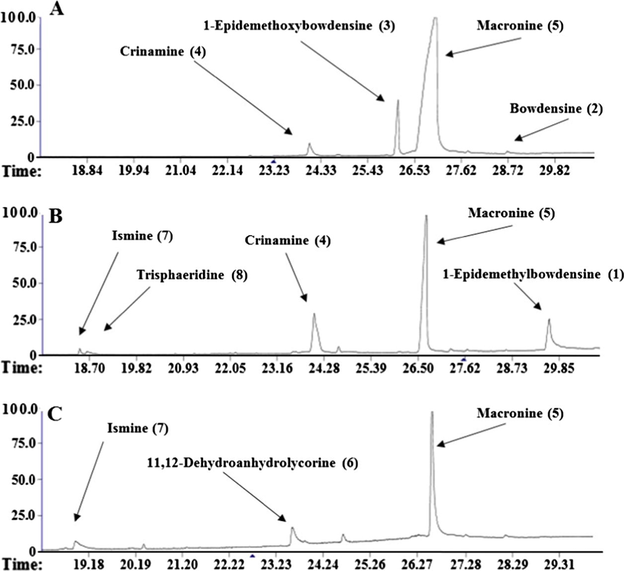 GC–MS chromatogram of n-Hex (A), EtOAc (B) and EtOAc:MeOH (C) extracts from Crinum erubescens with the identified alkaloids.