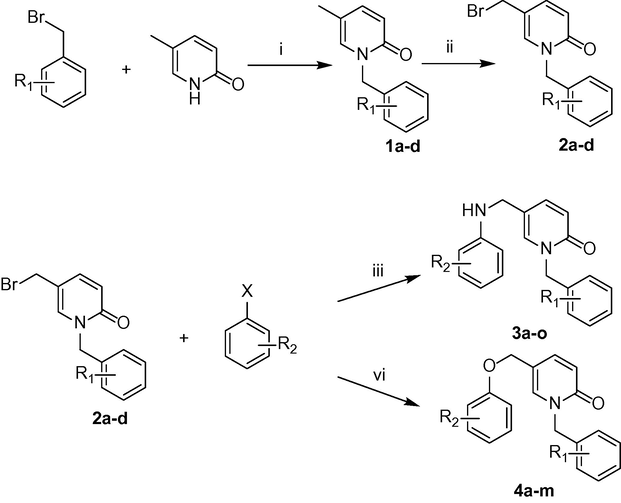 General synthesis of compounds 3a–o and 4a–m. Reagents and conditions: (i) K2CO3, TBAI, 1,4-dioxane, Reflux, 20 h, 70–89%; (ii) NBS, AIBN, CCl4, hv, 100 W, 2 h; (iii) acetonitrile, rt, 3 h, 25–57%; (iv) acetonitrile, rt, 3 h, 27–87%.