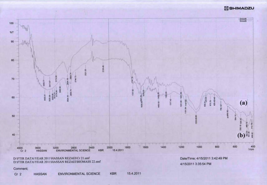 198 FTIR Spectrum of the Spirulina sp. (before (b) and after (a) biosorption of Cr.