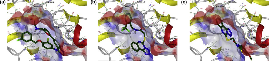 (a) Interaction of Lapatinib with the binding site of EGFR; (b–c) Interaction of compound 1.18, 1.32 with the binding site of EGFR. H-bond is shown as a yellow line.