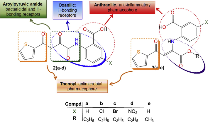 Significant pharmacological sites in thenoyl–pyruvoyl-anthranilic acids (TPXAH2, 2a–d) and enaminones (3a–e) used in this work.