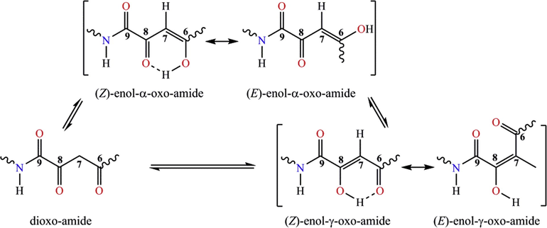Possible tautomeric forms and intramolecular hydrogen-bonding in backbone of thenoylpyruvanthranilic acids.