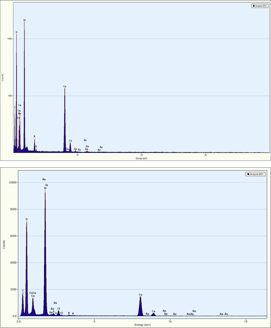 EDX spectra of Au@SiO2-RhB NP (upper side-corresponding to Fig. 4b) and RhB-SiO2@Au NP (bottom side-corresponding to Fig. 4e).