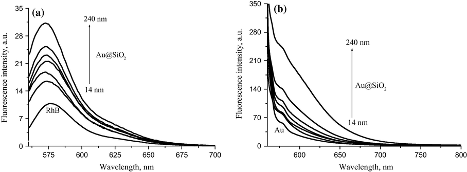 Fluorescence spectra of Au@SiO2-RhB NPs with different silica shell sizes measured in: (a) microemulsion and (b) solid phase.