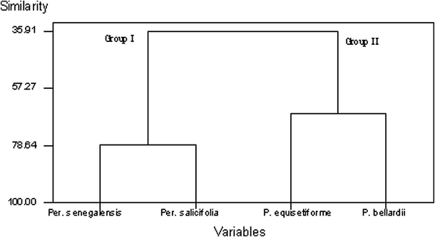 Dendrogram for the morphological, anatomical and chemical characters.