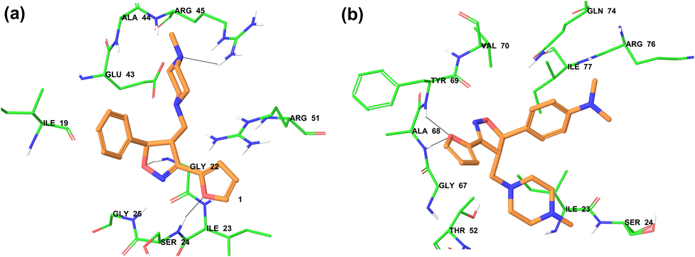Binding pattern and interaction of 3a (a) and 3k (b) at the binding site of MAO-A enzyme.