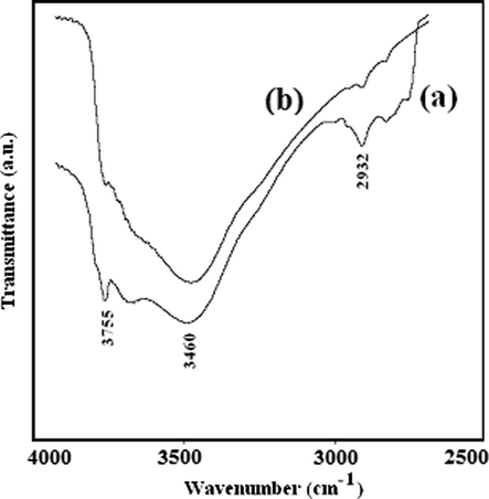 IR spectrum of (a) CM-MgO, and (b) NC-MgO in 4000–2500 cm−1 region after heat treatment at 500 °C.