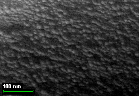 The SEM photographs of nanoparticles of Co(II) macrotricyclic metal chelate formed in a template synthesis in the MHF-GIM in the Co(II) – ethanedithioamide – methanal triple system.