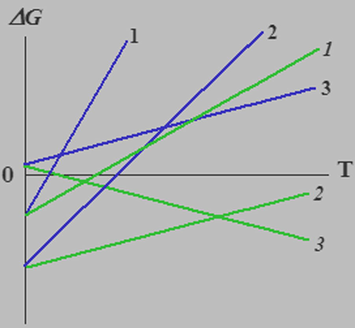 Schematic view of the ΔG0(T) (1, 2, 3) and Δ G 0 ′ ( T ) (1, 2, 3) dependences for three variants of the template process. The lines 1, 1 and 2, 2 are related to the template processes with ΔH < 0 which, in principle, can be implemented in the systems without a compulsory decrease in the entropy; the lines 3, 3, for the template processes with ΔH > 0, which can be implemented only in the systems with a compulsory decrease in the entropy. The lower slope of the 1, 2, and 3 lines is clearly seen, unlike that of the 1, 2 and 3 lines.