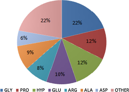 General amino acid composition of gelatin (GLY– glycine, PRO– proline, HYP– hydroxyproline, GLU– glutamine, ARG– arginine, ALA– alanine, ASP– asparagine).