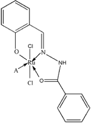 The proposed structure of [Ru(L-H)Cl2(A)] [where A = H2O(1), py(2), 2-pic(3), 3-pic(4), 4-pic(5)].