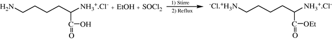 Protection of l-lysine acidic group.