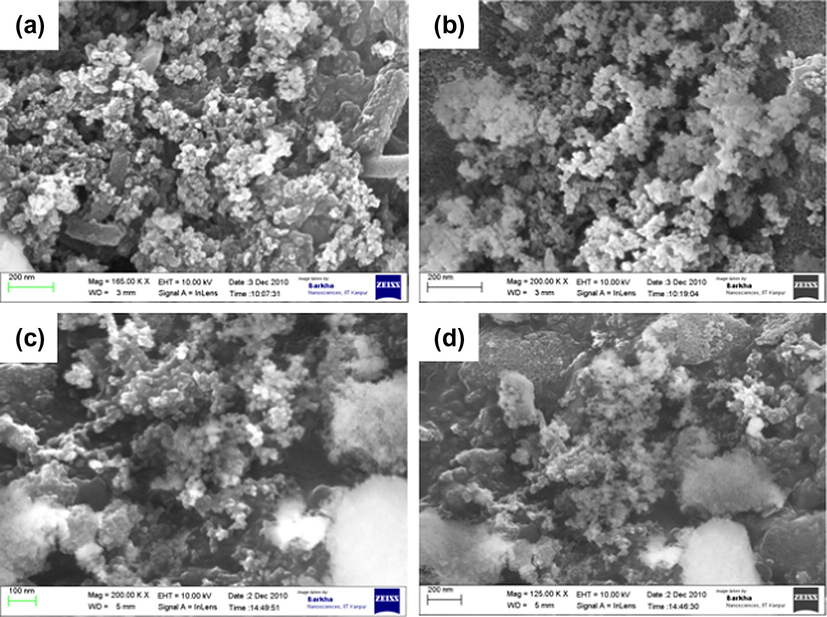 SEM images of ASG (a), TLSG (b), FLSG (c) and PLSG (d).