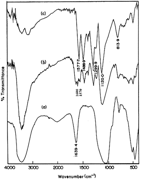 FT-IR spectrum of pristine clay (a), polyaniline clay nanocomposite (b) and chemically synthesized polyaniline (c).