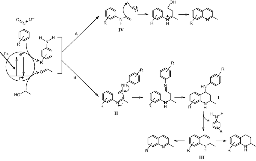 Schematic overview over the possible reaction pathways.