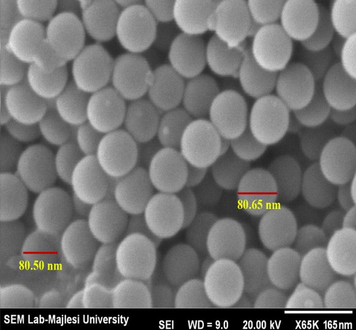 SEM of ZnO nanoparticles.