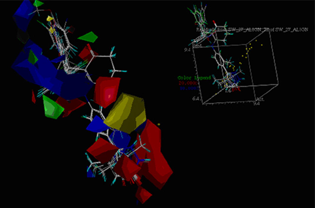 CoMFA contour plots for steric and electrostatic regions. Green counters indicate where bulky groups are required, whereas the yellow counter indicates those regions where bulky groups are not required. Red counters indicate the region needed electronegative contribution, whereas blue counters indicate the region where electropositive contribution is required.