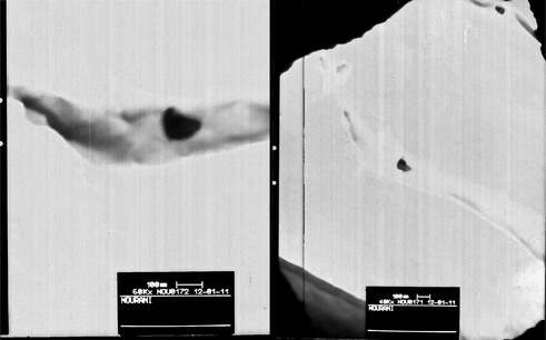 TEM pictures for PA6/nano TiO2 nanocomposite.