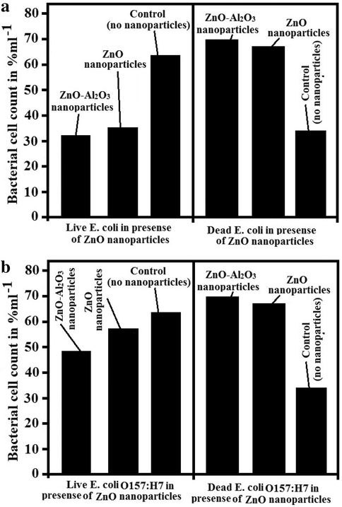 Bar graph of live and dead (a) E. coli ATCC 25922 (b) E. coli O157:H7 in the presence and absence of ZnO nanoparticles, where bacterial cell counts are expressed as a function of percentage per ml.