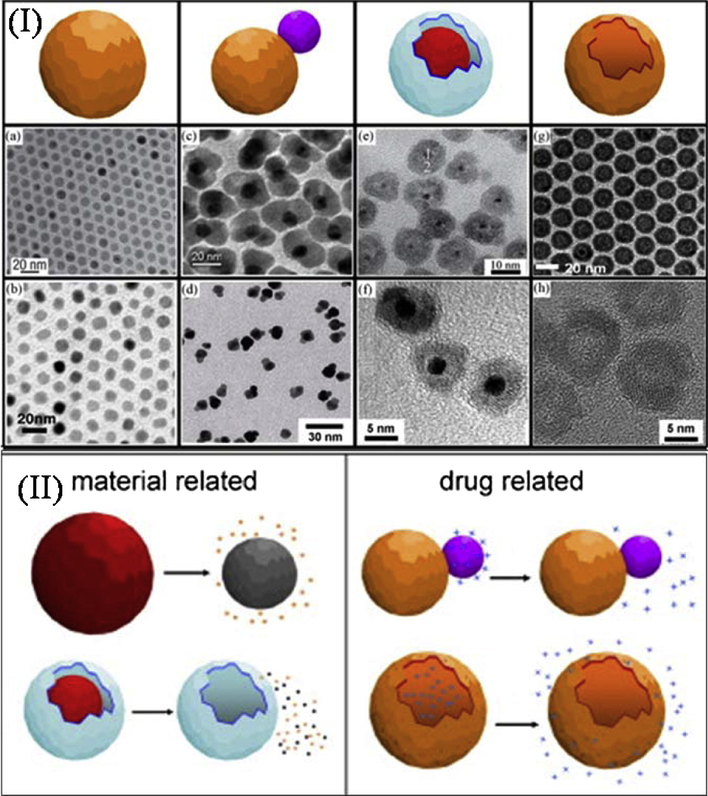 (I) Schematics of iron-based nanostructures (a) Fe3O4 NPs,(b) FePt alloy,(c) Fe3O4–Au heterodimers, (d) or FePt–Au, (e) yolk–shell nanostructures with FePt core and CoS2 shell, (f) or Pt–Fe2O3,(g) Fe3O4 and/or (h) Fe2O3 hollow nanocrystals. (II) Different approaches for achieving therapeutic effect using NPs. In the first instance, degradation of the FePt NPs releases iron ions or iron and platinum ions simultaneously (partial (top left) or complete (lower left,) whereas in the second instance, NPs are loaded with cisplatin either by grafting the drug onto the surface of the Au domain in Au–Fe3O4 dumbbells (top right) or by embedding the drug in the inner regions of the hollow Fe3O4 NP (lower right). All reported systems are responsive to the decrease of the pH. The drug was released in the controlled manner (Figuerola et al., 2010).