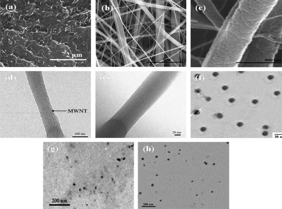 SEM micrographs of (a) MWCNTs, (b) chitosan nanofibers, (c) freeze-dried chitosan nanofibers, (d) and (e) TEM micrographs of f-MWCNTs/caprolactone composite nanofibers, (f) Ag NPs, (g) magnetic NPs coated with oleic acid and (h) maleic anhydride-co-β-cyclodextrin coated magnetic NPs (Haider et al., 2007; Haider and Park, 2009; Saeed et al., 2006; Alothman et al., 2010; Omer et al., 2011).
