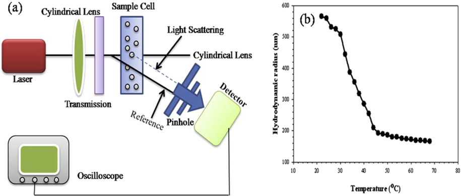 (a) Schematic of DLS setup and (b) hydrodynamic radii measurement of poly (NIPAAm)–MNPs in aqueous medium (Omer et al., 2011).